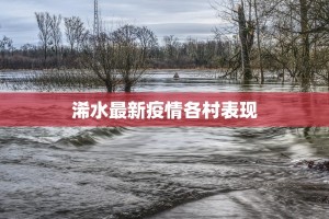 浠水最新疫情各村表现