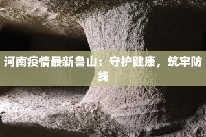 河南疫情最新鲁山：守护健康，筑牢防线