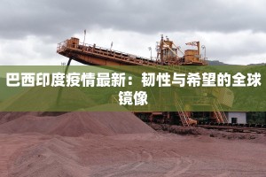 巴西印度疫情最新：韧性与希望的全球镜像