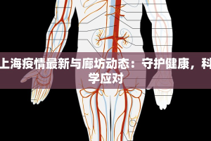 上海疫情最新与廊坊动态：守护健康，科学应对
