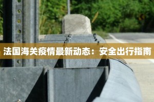 法国海关疫情最新动态：安全出行指南