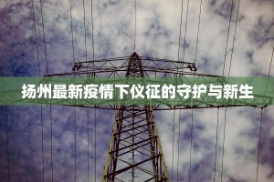 扬州最新疫情下仪征的守护与新生