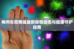 梅州东莞南城最新疫情动态与健康守护指南