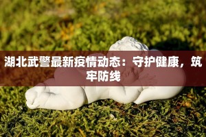 湖北武警最新疫情动态：守护健康，筑牢防线