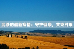 武陟的最新疫情：守护健康，共克时艰
