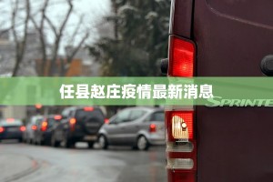 任县赵庄疫情最新消息