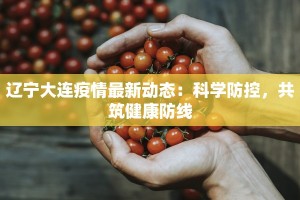 辽宁大连疫情最新动态：科学防控，共筑健康防线
