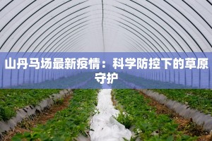 宁明疫情最新通