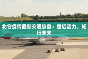 北仑疫情最新交通恢复：重启活力，畅行未来