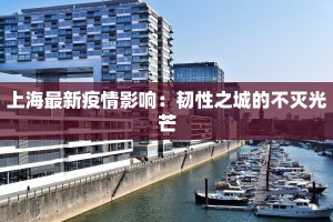 上海最新疫情影响：韧性之城的不灭光芒