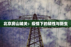 北京房山城关：疫情下的韧性与新生