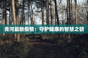 青河最新疫情：守护健康的智慧之钥