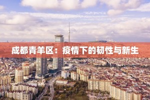 成都青羊区：疫情下的韧性与新生