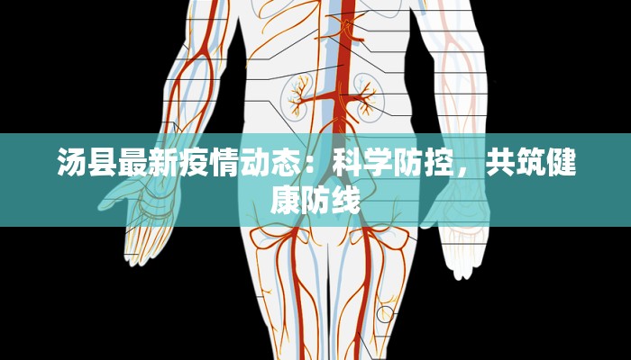 汤县最新疫情动态：科学防控，共筑健康防线