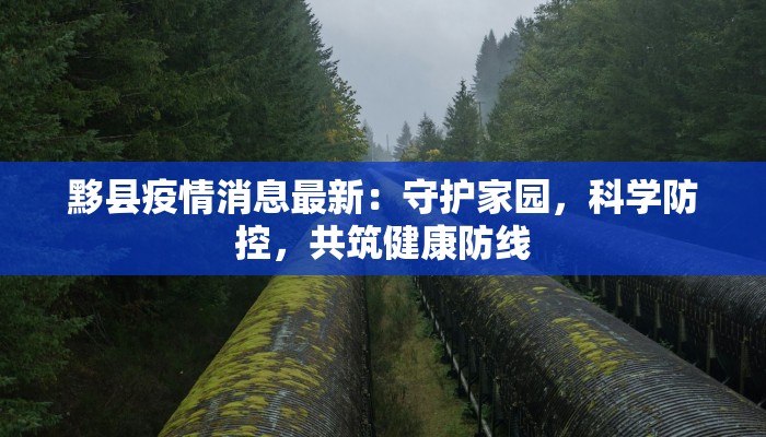 黟县疫情消息最新：守护家园，科学防控，共筑健康防线