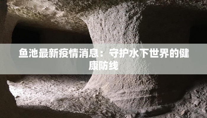 新乡卫辉疫情最新通知