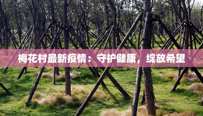 梅花村最新疫情：守护健康，绽放希望
