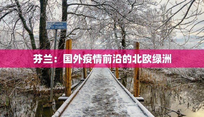 芬兰:国外疫情前沿的北欧绿洲 芬兰:国外疫情前沿的北欧绿洲