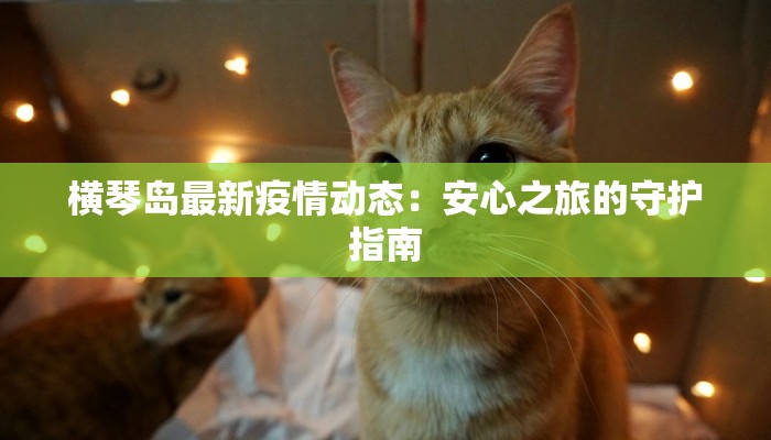 横琴岛最新疫情动态:安心之旅的守护指南 横琴岛最新疫情动态:安心之旅的守护指南