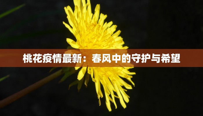 桃花疫情最新：春风中的守护与希望