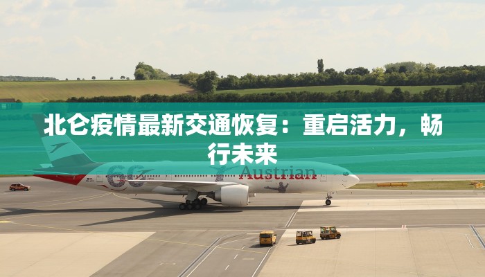 北仑疫情最新交通恢复：重启活力，畅行未来