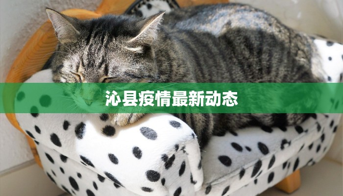 沁县疫情最新动态 沁县疫情最新动态