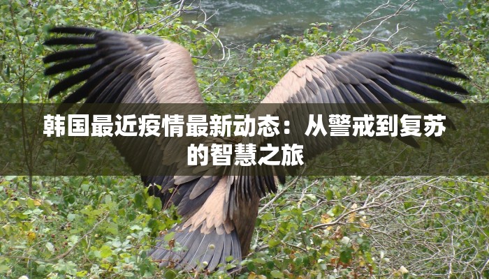 韩国最近疫情最新动态：从警戒到复苏的智慧之旅