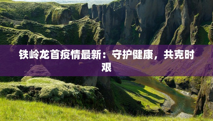 铁岭龙首疫情最新:守护健康,共克时艰 铁岭龙首疫情最新:守护健康,共克时艰