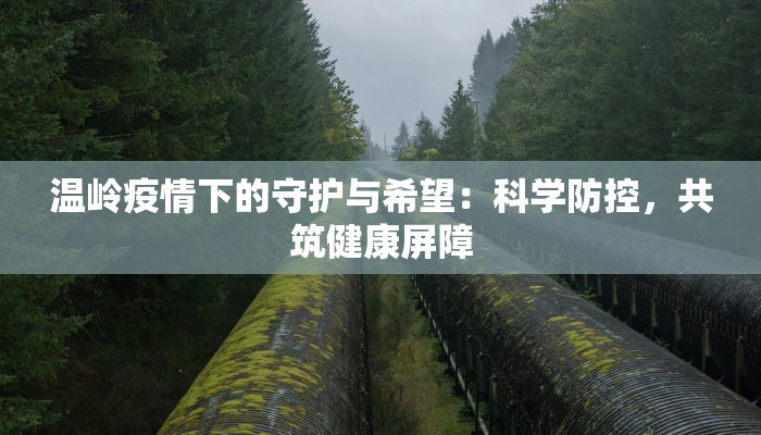 温岭疫情下的守护与希望：科学防控，共筑健康屏障