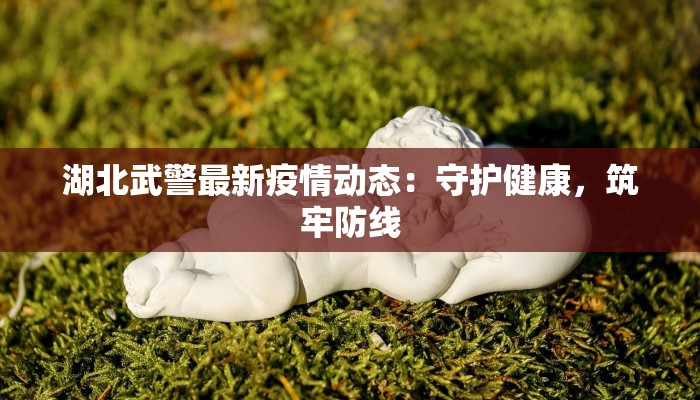 湖北武警最新疫情动态:守护健康,筑牢防线 湖北武警最新疫情动态:守护健康,筑牢防线