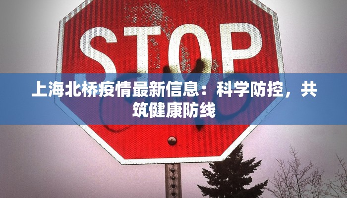 上海北桥疫情最新信息：科学防控，共筑健康防线