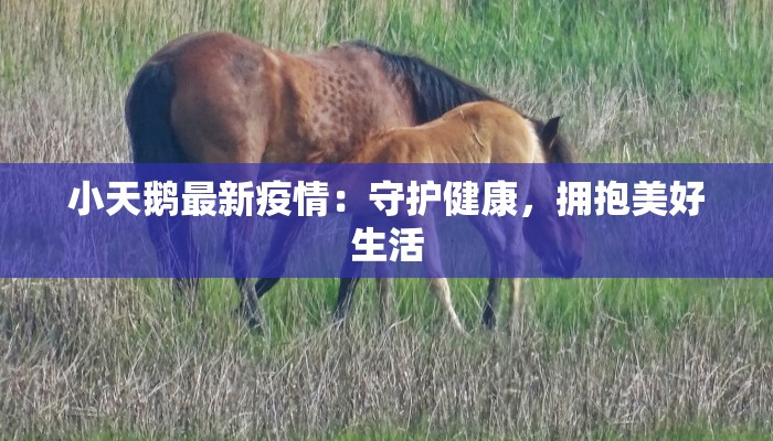 陕西阳泉疫情最新消息：科学防控，共克时艰